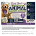 Animal Shelter