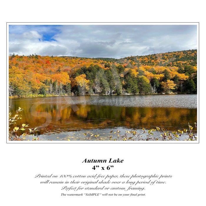 Autumn
