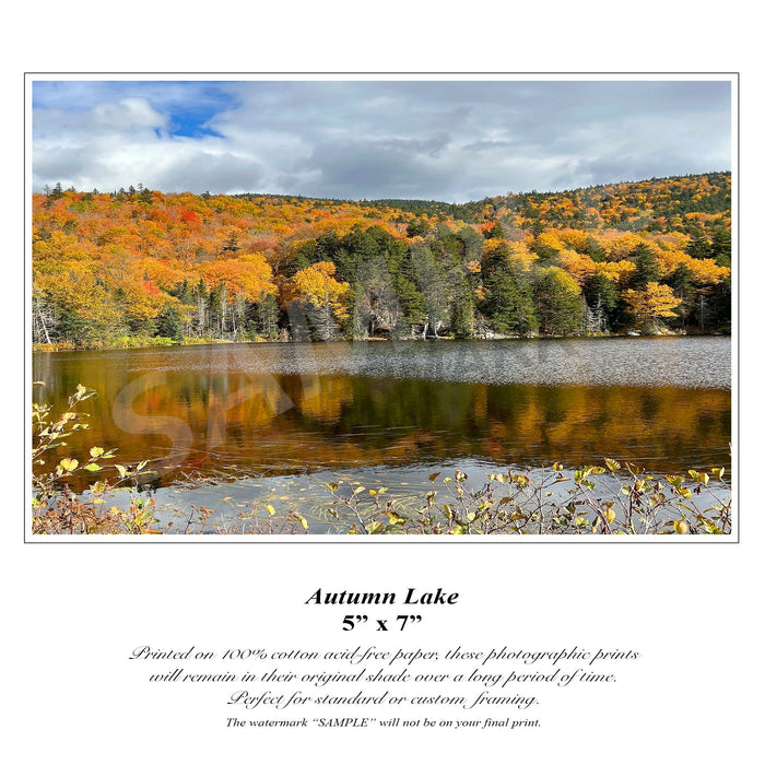 Autumn