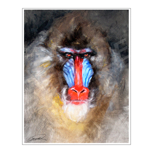 Blushing Mandrill