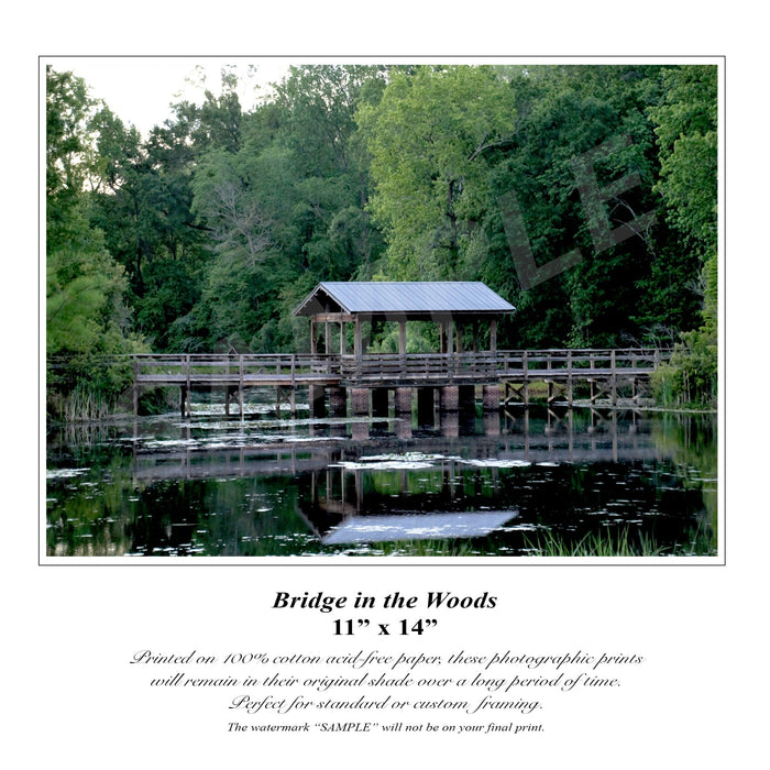 Bridge