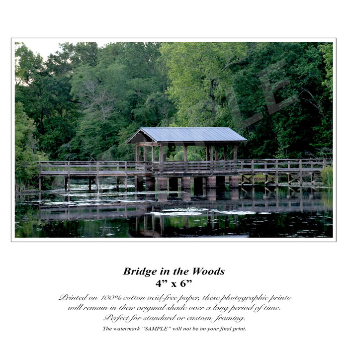 Bridge