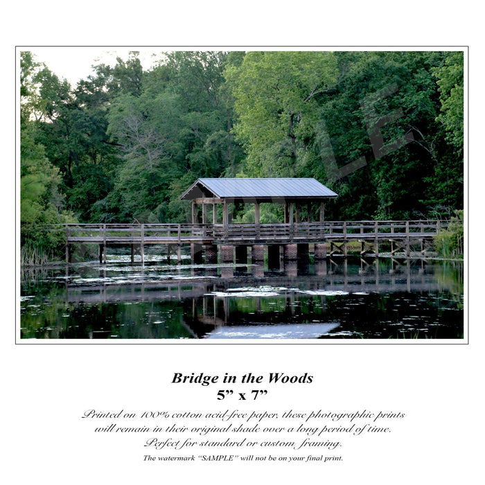 Bridge
