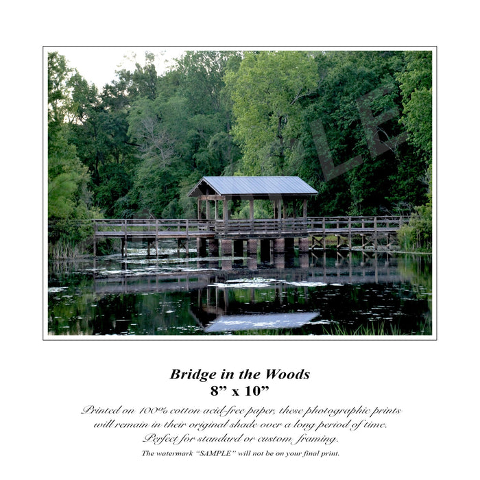 Bridge