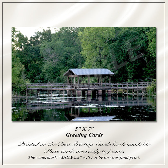 Greeting Cards