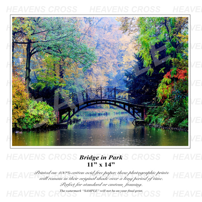 Bridge in the Park