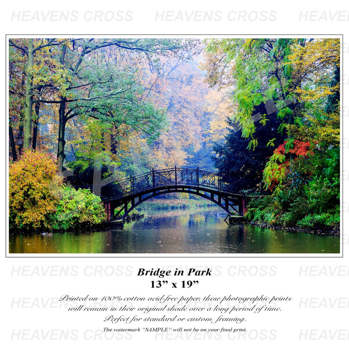 Bridge in the Park