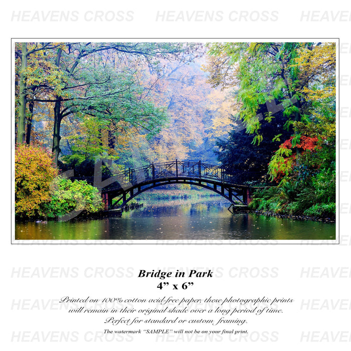 Bridge in the Park