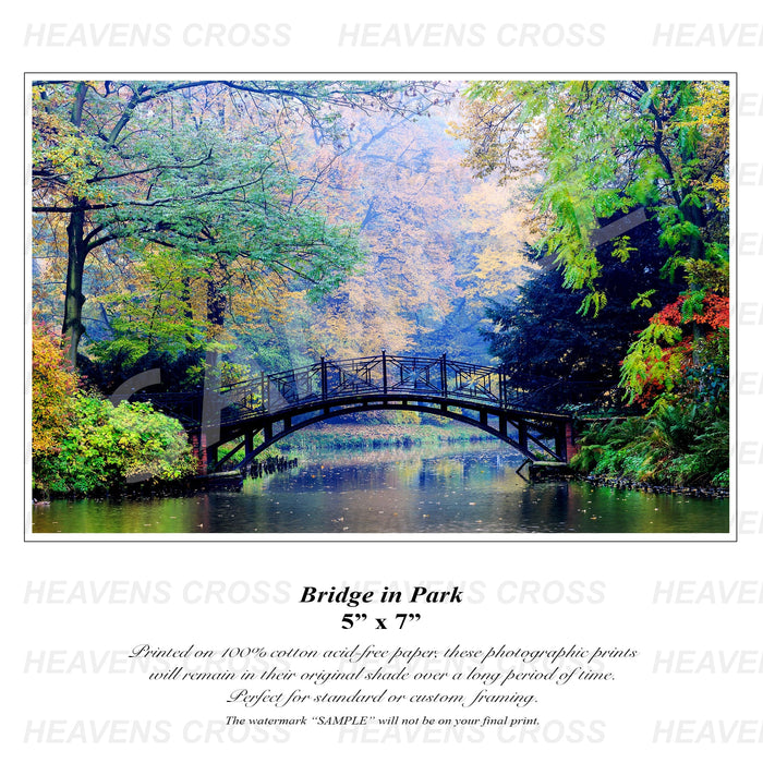 Bridge in the Park