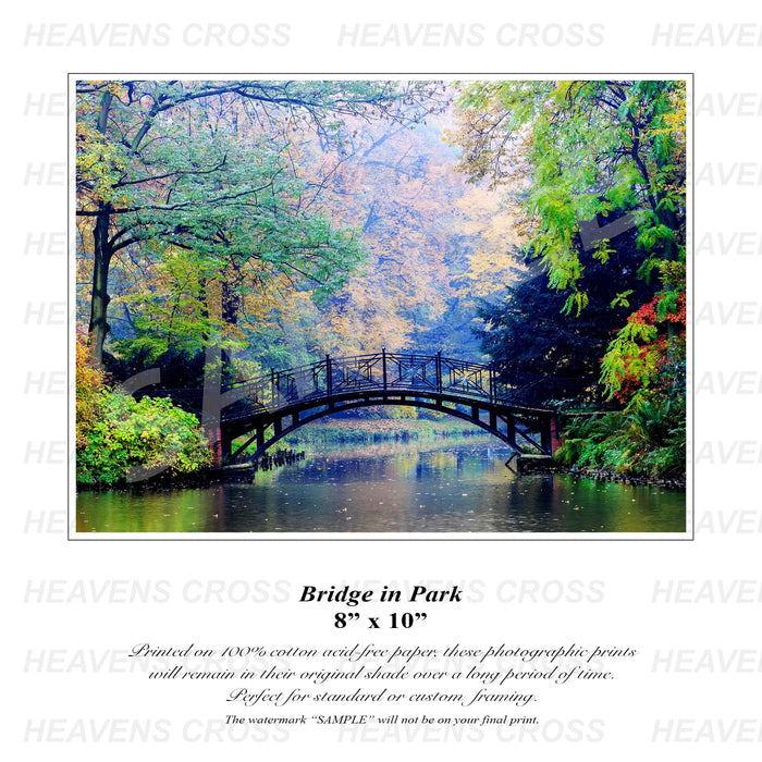 Bridge in the Park