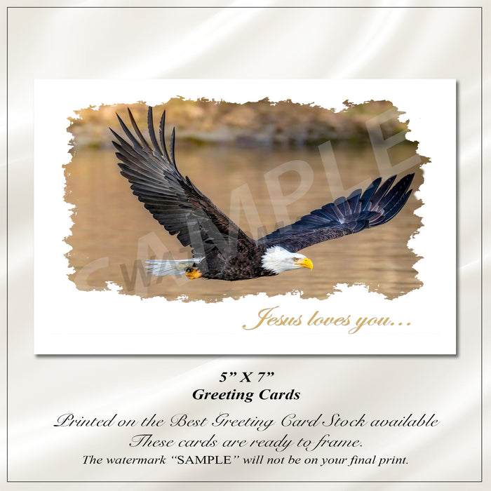 Eagle