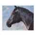 A square art print featuring a painted profile portrait of a dark horse against a soft blue and white background, shown with a thin white border on a white canvas.