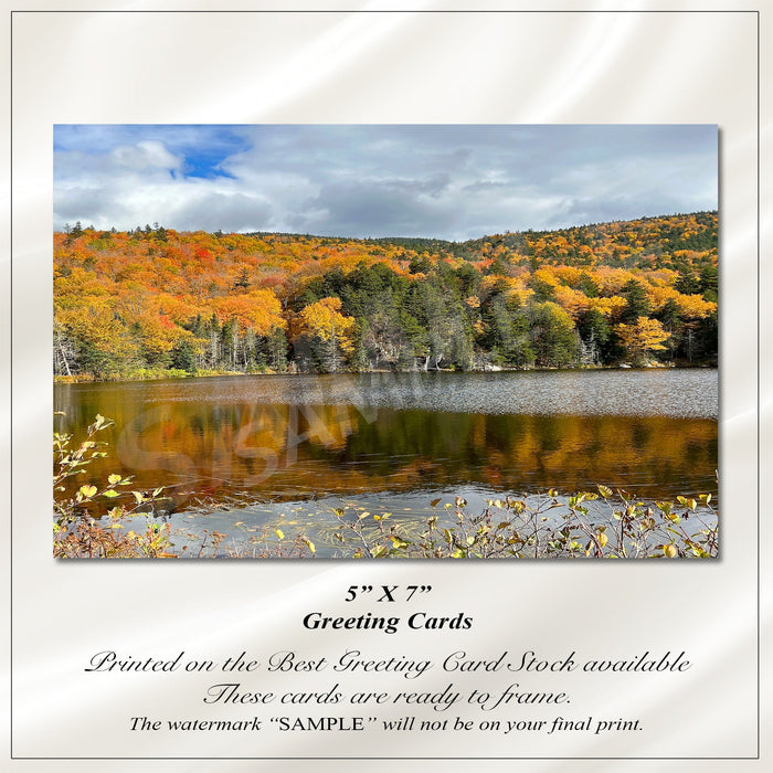 Greeting Cards