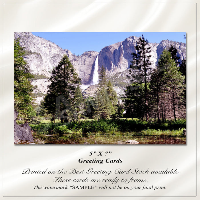 Greeting Cards