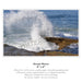 Ocean Waves