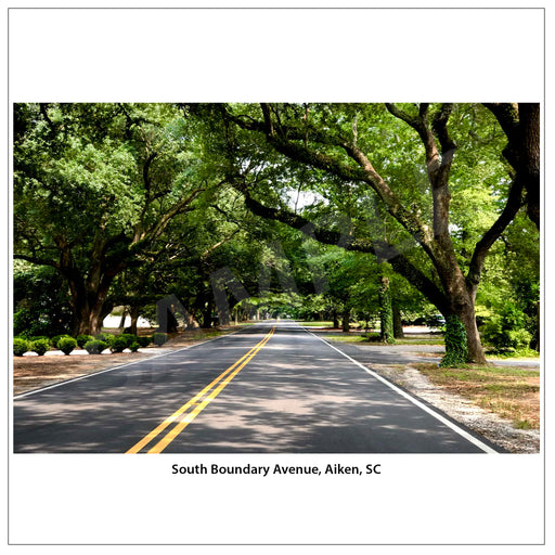 A scenic photograph of South Boundary Avenue in Aiken, SC, showing a paved road lined with large, leafy green trees under a dappled canopy. The image is presented with a white border and a caption at the bottom.