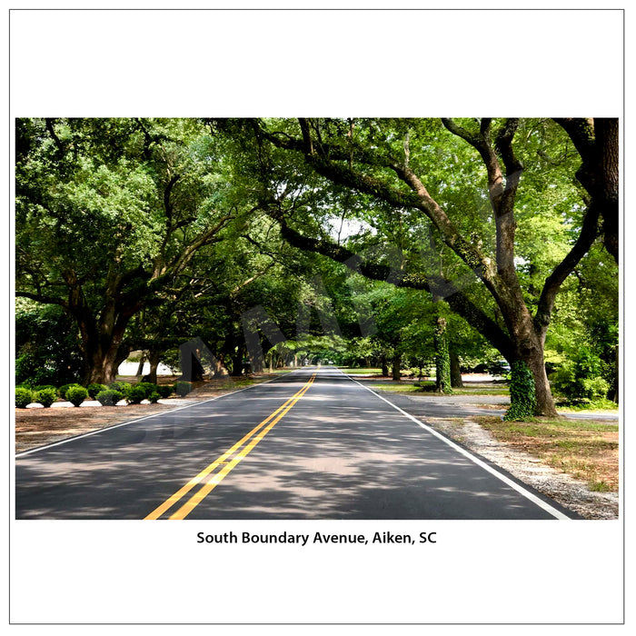 South Boundary Avenue – Fine art Print
