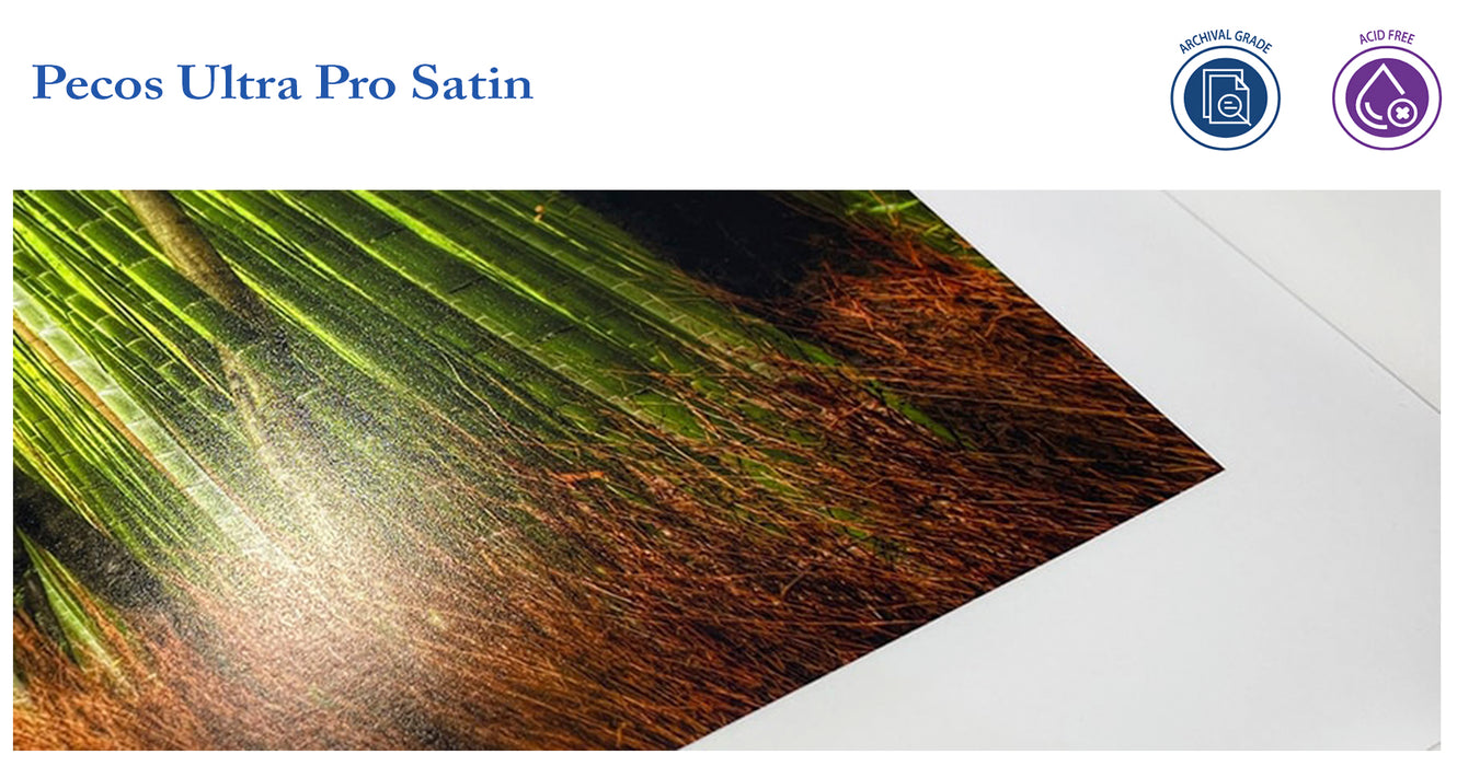 Ultra Pro Satin