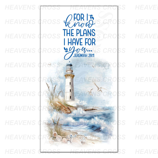 Plans I have for you